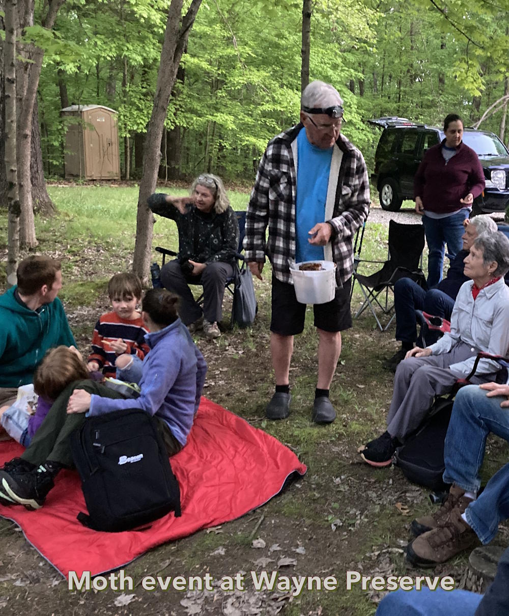 Moth Night at Wayne Cave Preserve