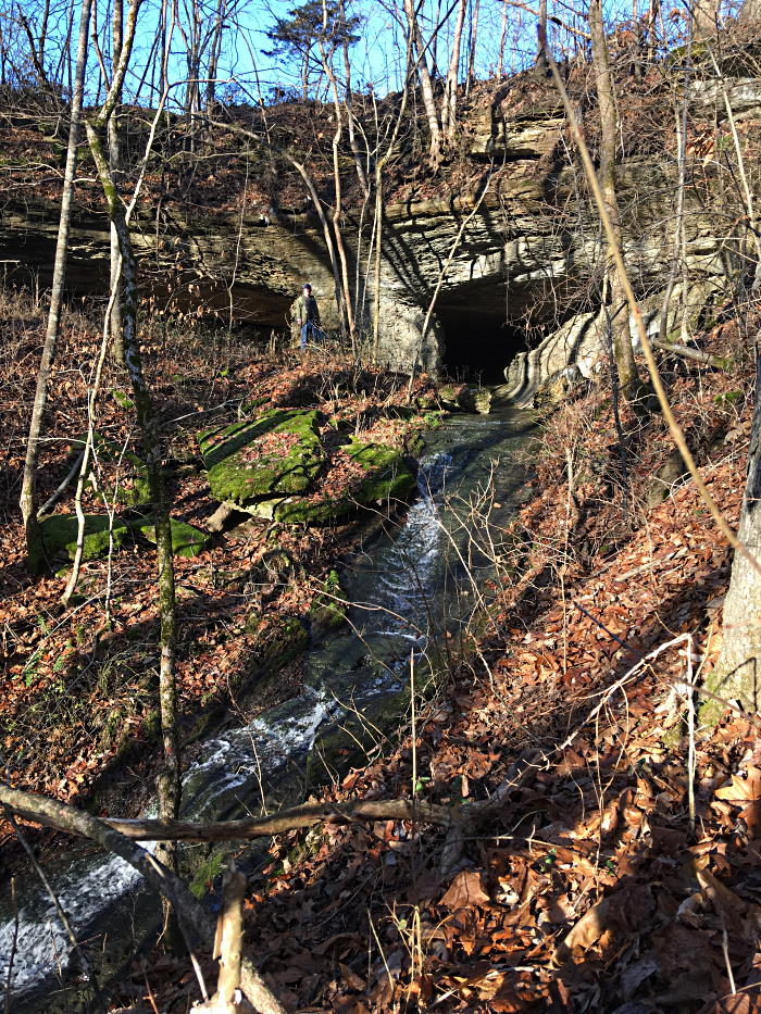 Downstream looking up
