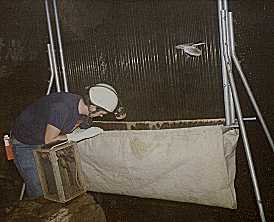 Netting some Bats